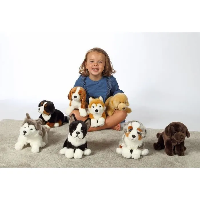 Peluche Chien Bouvier Bernois - GIPSY TOYS - Assis, 25 cm-1