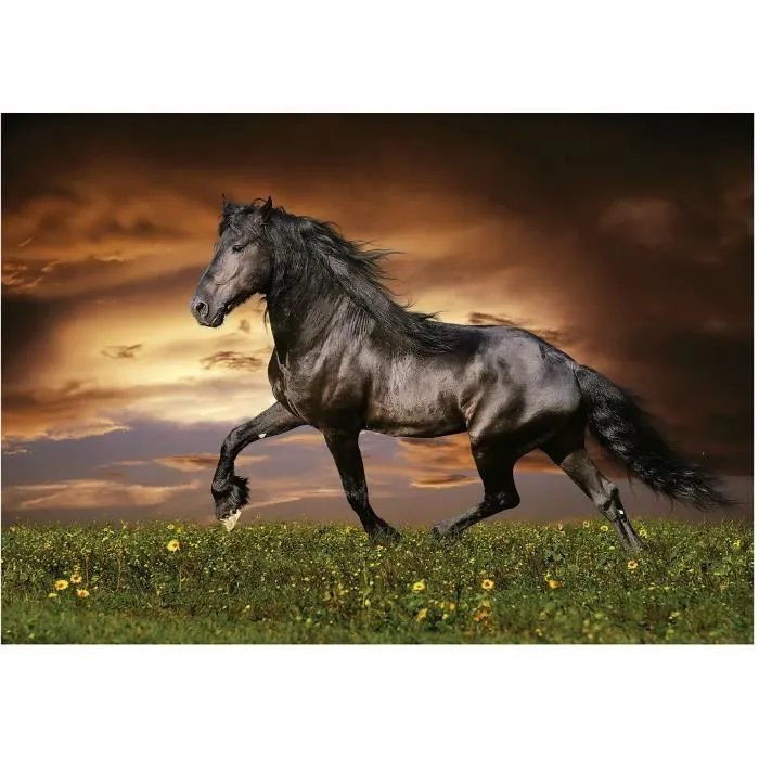 CHEVAL AU TROT - Puzzle de 1000 pièces-1