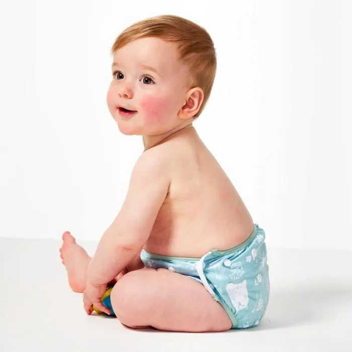 Splash about - SASNSYBL - Couche de Natation a Taille reglable and Toddler Swim Nappy, Sunny Bear, 1-3 Ans Unisex Baby-1
