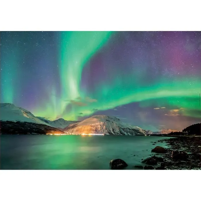 Puzzle paysage et nature - EDUCA - 1000 pièces - pour adulte à partir de 12 ans-1