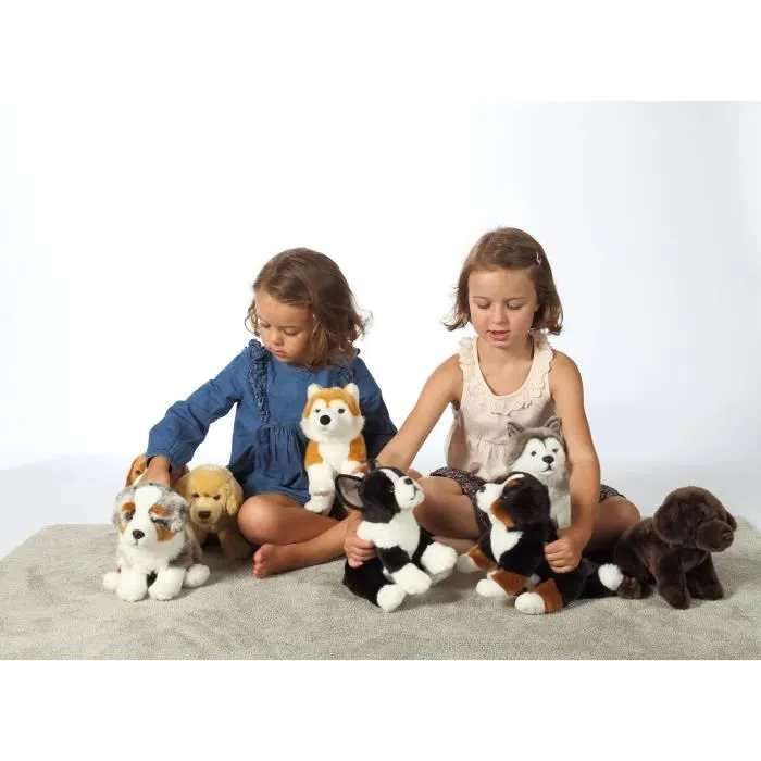 Peluche Chien Husky - GIPSY TOYS - Assis, 25 cm-1