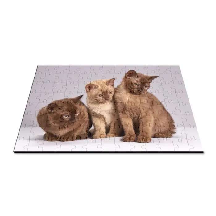 Puzzle Classique 100 pièces Bebe Chats Siamois Persan Poils Longs Chat Trio Mignon-2