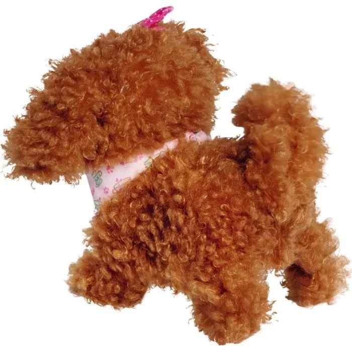 Chi Chi Love Caniche Chiot-3