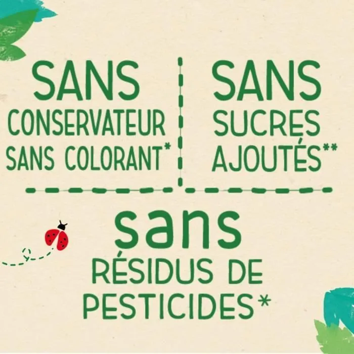 16 Gourdes 100% végétal Fruits & Lait de Coco 4x(4x90g) - Blédina Dès 6 Mois-3