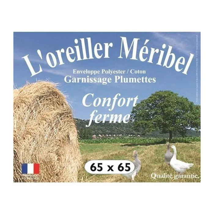 Oreiller plumes 65 x 65 cm "DODO"-1