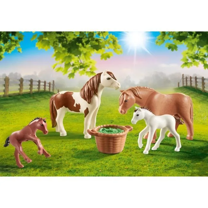 Country Poneys avec Poulains-1