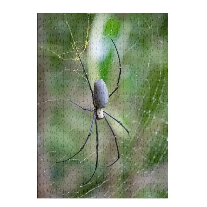 Puzzle Classique 500 pièces - FABULOUS - Grosse Araignée sur sa Toile - Intérieur - Adulte-1