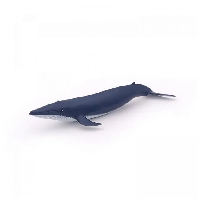 Figurine miniature - PAPO - Bébé baleine bleue - Enfant - Mixte - 3 ans et plus-0