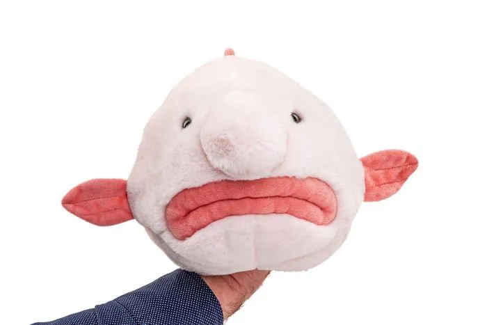 Peluche Uni-toys - WT-70300 - Blobfish - Flip Peluche, Peluche Reversible - 29 cm (Longueur) - Poisson en Peluche - Doudou-1