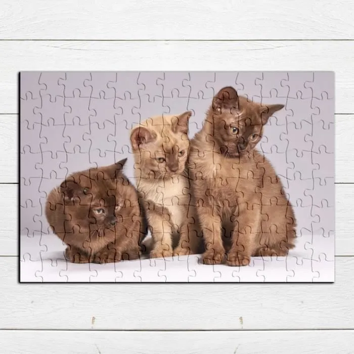 Puzzle Classique 100 pièces Bebe Chats Siamois Persan Poils Longs Chat Trio Mignon-3