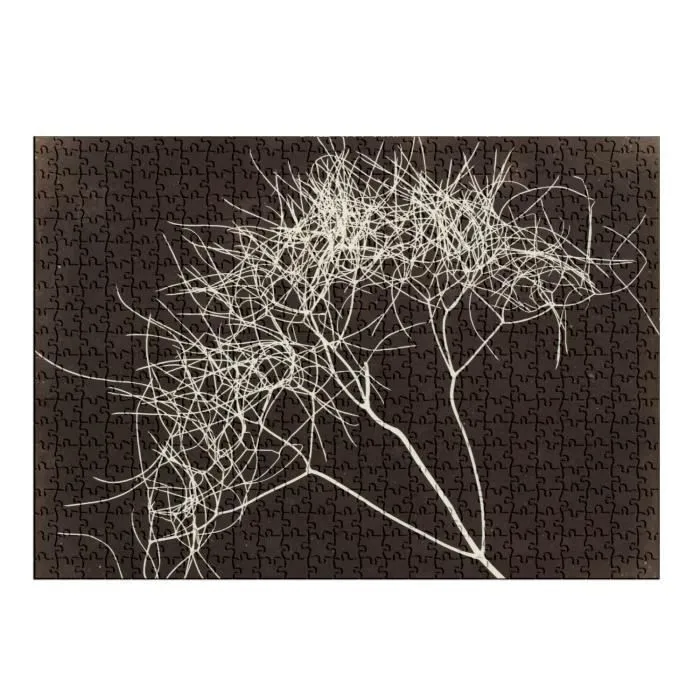 Puzzle Classique - FABULOUS - Photo de Plante Original - 500 Pièces - Intérieur - Adulte-1