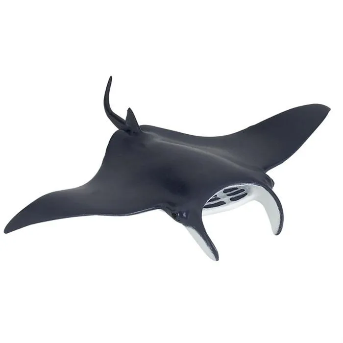 Figurine Raie manta - PAPO - L'UNIVERS MARIN - Intérieur - Enfant - Multicolore-1