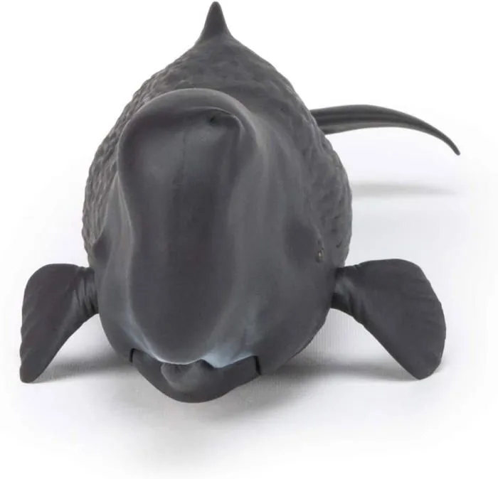 Papo - Figurine Cachalot-1