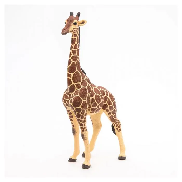 Figurine Girafe mâle - PAPO - LA VIE SAUVAGE - Intérieur - Mixte - 3 ans-4