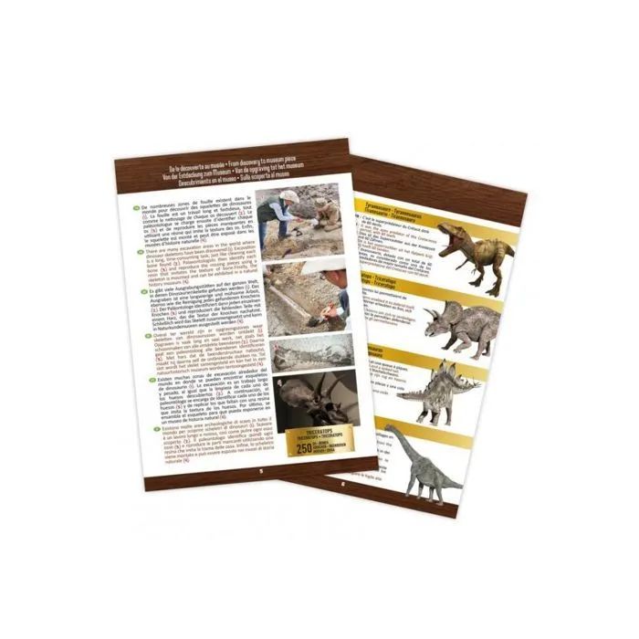 Tête de dinosaure - T-Rex - Crâne à déterrer - 12 cm - Outils inclus - Pour enfants-3