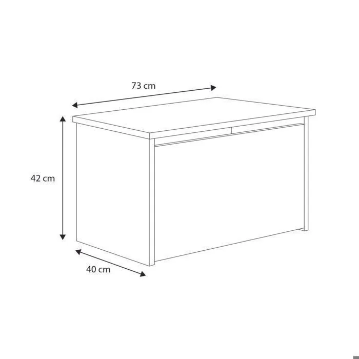 Coffre à jouets pour enfants - DARIA - Boîte de rangement - Vérin pneumatique – BLANC "Teddy Bear" 42x40x73-2