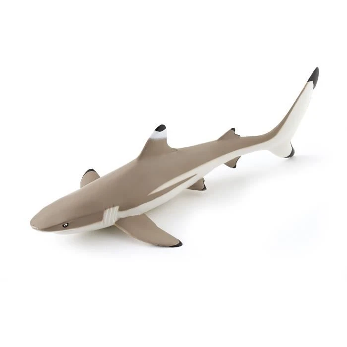 PAPO Figurine Requin à pointes noires-0