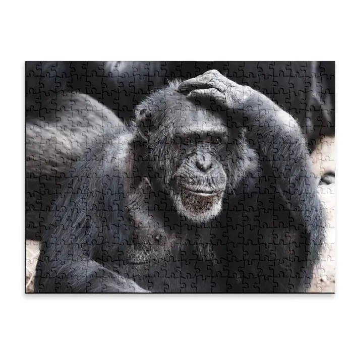 Puzzle Classique - FABULOUS - Chimpanze Singe - 280 Pièces - Adulte - Intérieur-1