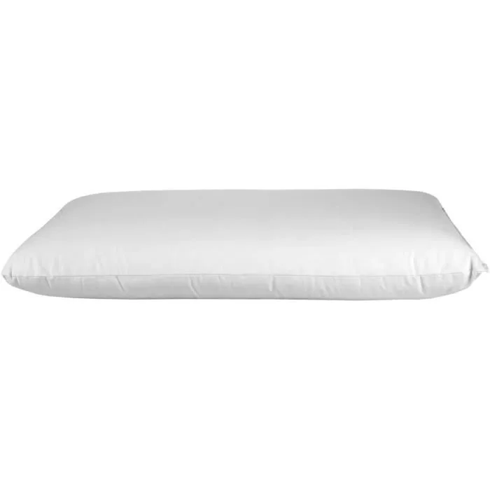 Oreiller rectangulaire - HOMESCAPES - 50 x 75 cm - Plumes et duvet d'oie - Aloe Vera - Hypoallergénique-1