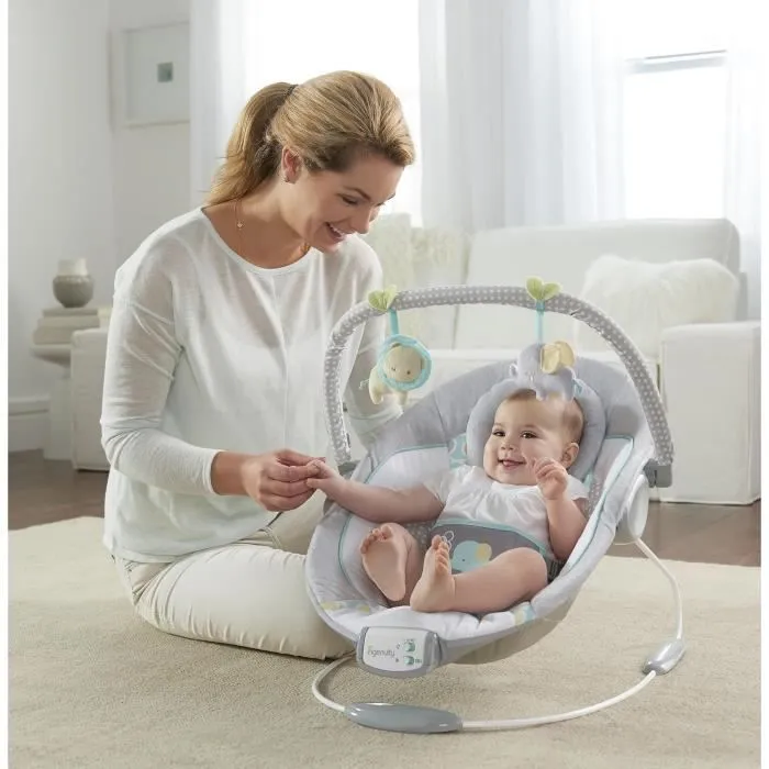 INGENUITY Transat bébé-Morrison- Arche avec jouets d'éveil amovible, 8 Mélodies, Vibrations apaisantes, Cale tête évolutif amovible-2