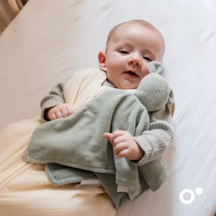 doomoo Doudou Bébé You&Me - Doudou Réversible et Réconfortant - Fourni avec 2 Corps pour Transporter l'Odeur du Parent, Vert-5