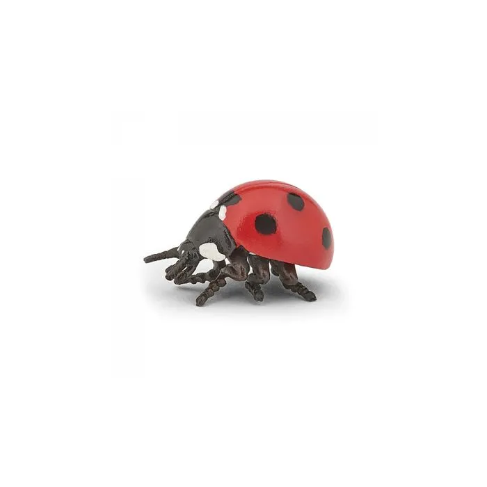 Figurine Coccinelle - PAPO - Modèle Coccinelle - Rouge - Enfant - Intérieur-1