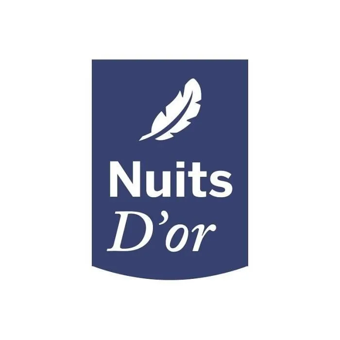 Nuits d'Or Matelas Densité 30 Kg/m3 - Hauteur 18 Cm - Soutien Ferme - Orthopédique (90x190)-3