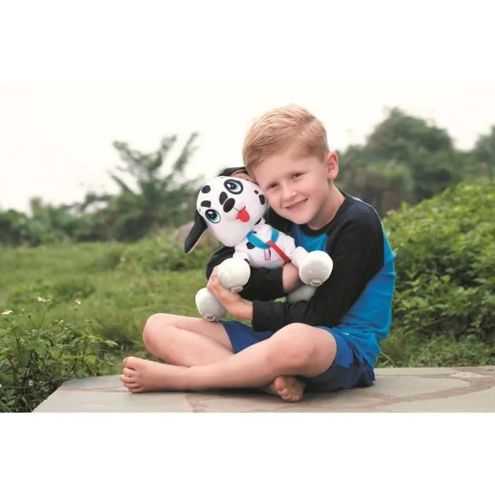 LES TOUFOUS Chien Dalmatien-1