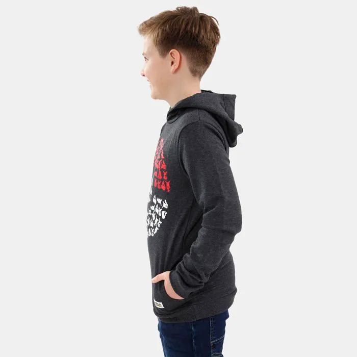 Sweat-shirt Pokemon Sweats a Capuche Garcon | Sweat Pikachu Garcon avec Motif Pokeball | Pull Enfant-2