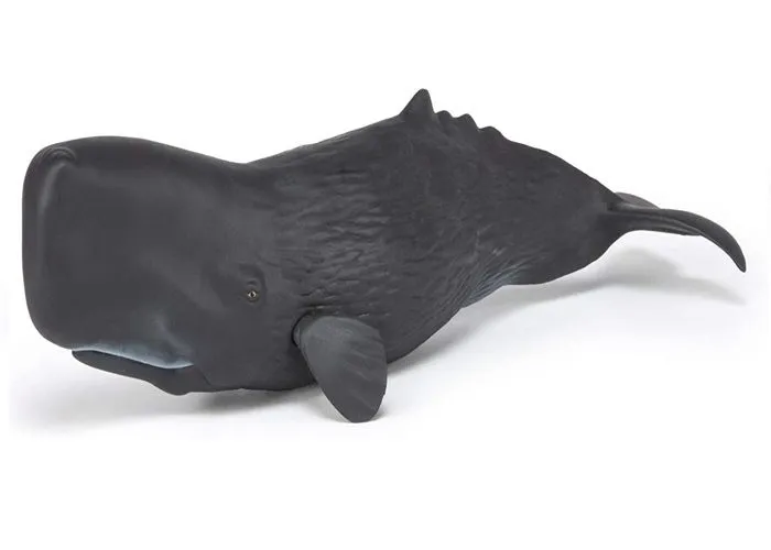 Papo - Figurine Cachalot-5