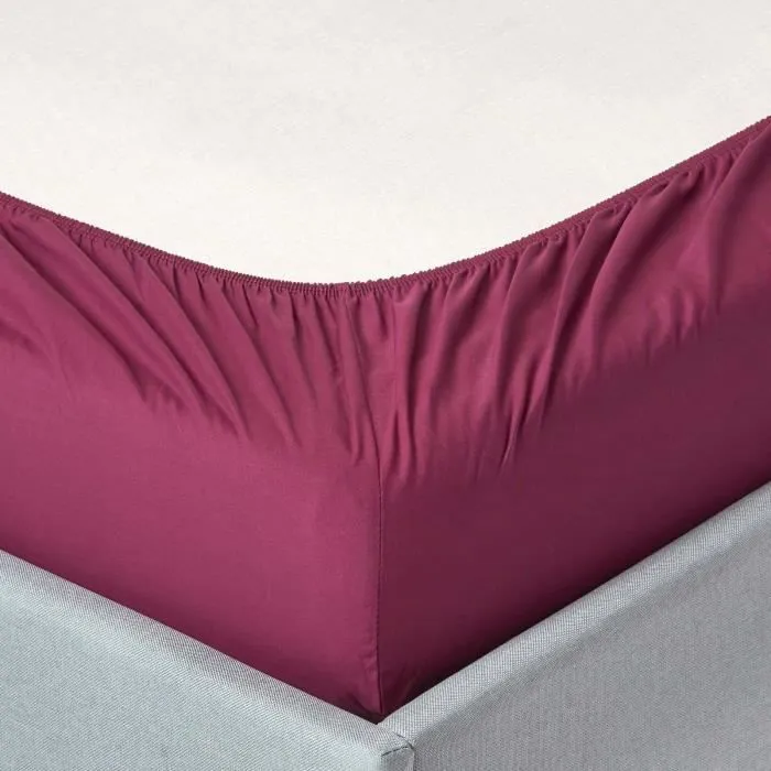 Drap-housse uni 90 x 190 cm 100% coton égyptien 200 fils coloris prune-1