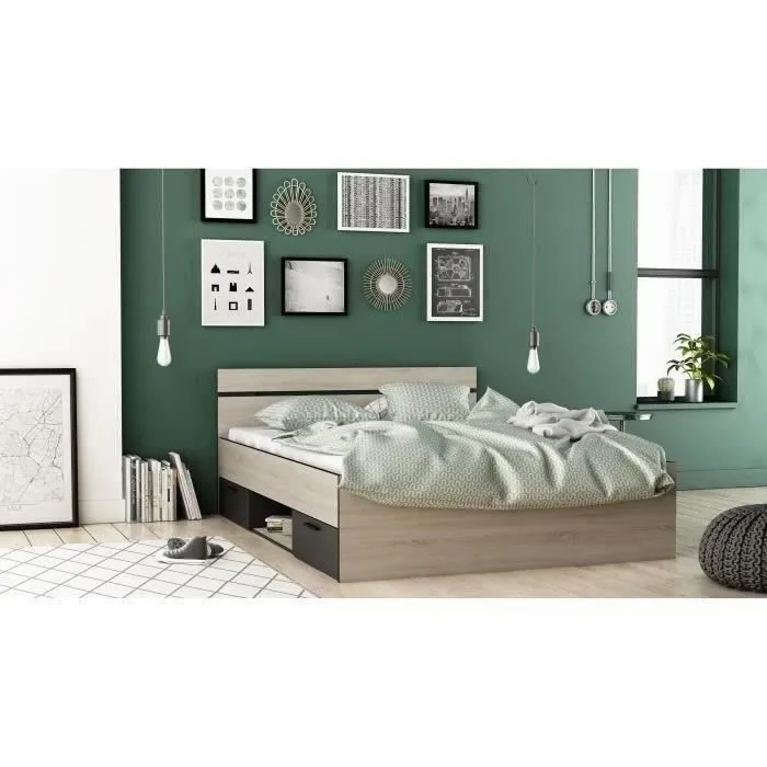 DEMEYERE Michigan Lit adulte 140x190 cm - 2 tiroirs et 1 niche - Industriel - Décor chêne brossé et noir-1