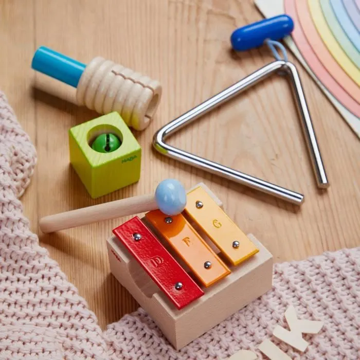 Coffret Plaisir de la Musique - HABA - Triangle, Cube Sonore, Métallophone, Reco-reco et Baguette-2