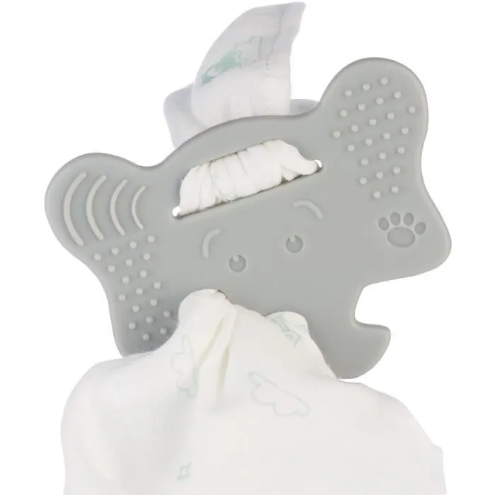 OKETI POKETI DOUDOU A MACHOUILLER : ANNEAU DE DENTITION + LANGE-0