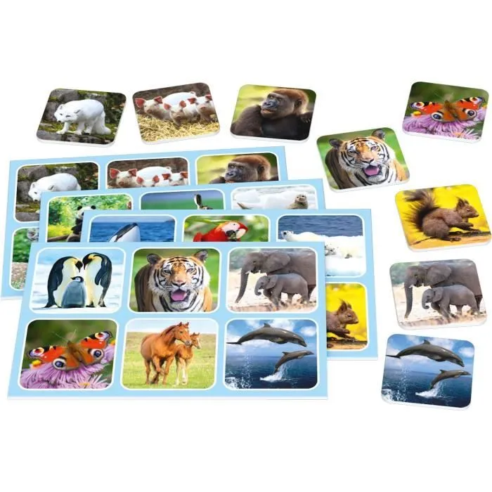 Zoo Lotto - Jeux de Société - SCHMIDT SPIELE - Amusez-vous en famille avec ce jeu de loto passionnant !-1