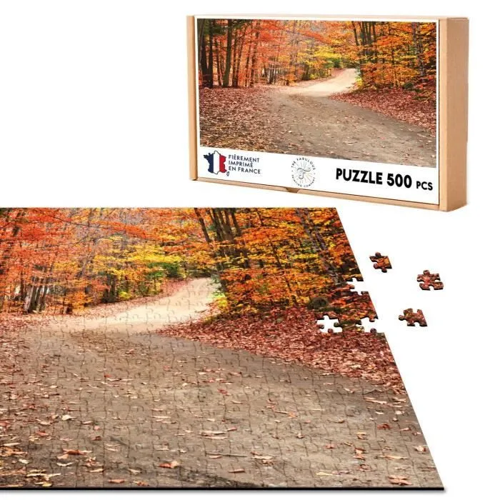 Puzzle Classique 500 pièces - FABULOUS - Chemin Dans une Forêt d'Automne - Mixte - Adulte - Intérieur-0