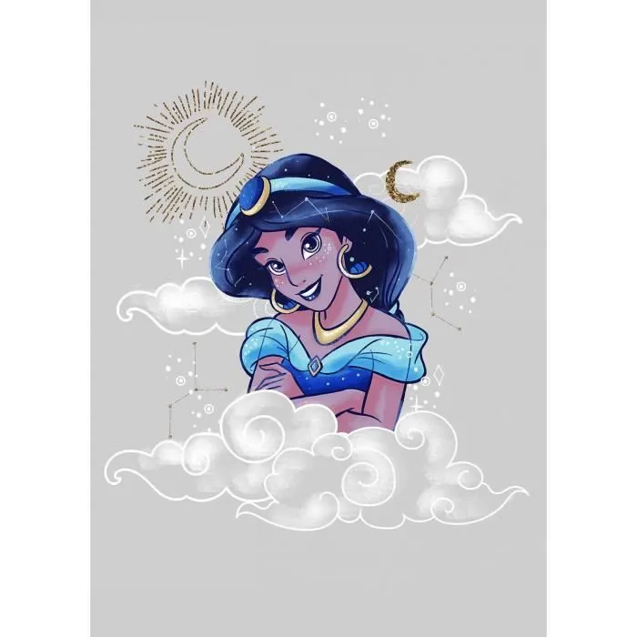 Poster - Disney - Aladdin - Jasmine - 50 cm x 70 cm - Décoration murale - Intérieur-0