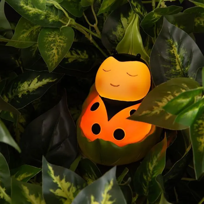 Amadeus - Petite lampe veilleuse Coccinelle-1