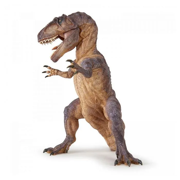 Figurine Giganotosaure de Papo pour enfants à partir de 3 ans - Dinosaures - Marron-0