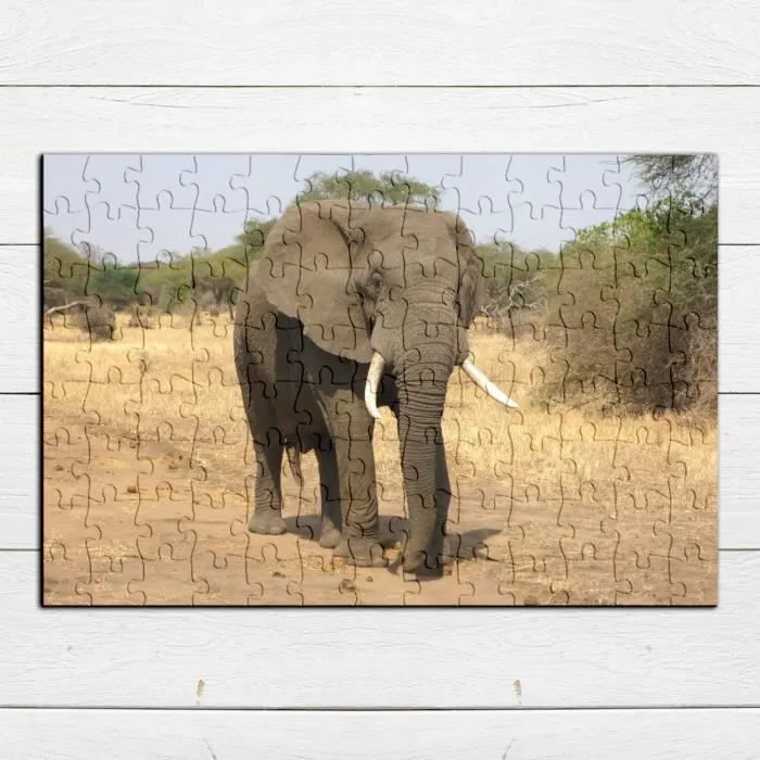 Puzzle Classique - FABULOUS - Elephant d'Afrique Savane - 100 Pièces - Adulte - Mixte-3
