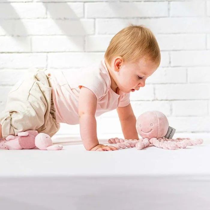 NATTOU Doudou Pieuvre Lapidou - 23 cm - 100% polyester - Rose-2