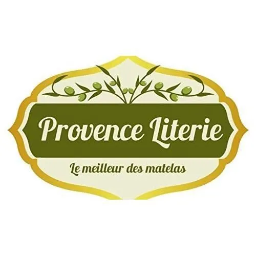 Lot de 2 Matelas 70x190 Mémoire de Forme 55 Kg-m3 + 2 Alèses x 20 cm Très Ferme + 2 Oreillers Visco - 5 Zones de Confort - Noyau-1