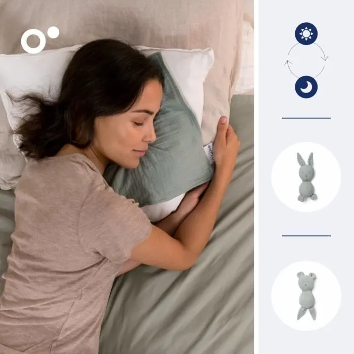 doomoo Doudou Bébé You&Me - Doudou Réversible et Réconfortant - Fourni avec 2 Corps pour Transporter l'Odeur du Parent, Vert-2