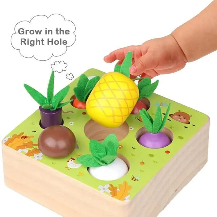 Jouet en Bois Jeu de tri Motricité Fine Jouets Bebe Montessori Jouet Enfant 1 2 3 Ans-1