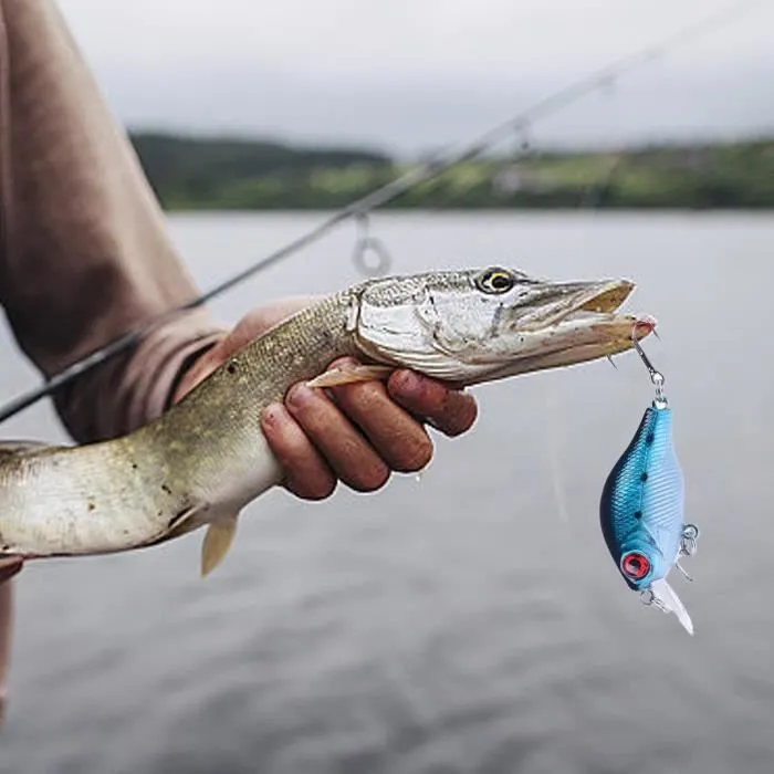 Calendrier de l’Avent Pêche 2023, Calendrier de l’Avent des leurres de pêche, Équipements et leurres de pêche mer, Leurres de pêche-3