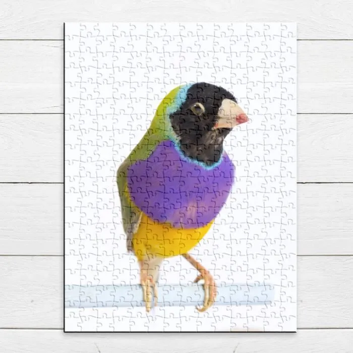Puzzle Classique - FABULOUS - Oiseau Exotique Gouldian Finch - 280 Pièces - Adulte - Intérieur-3