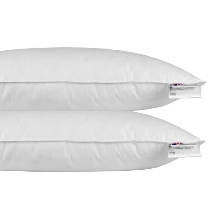 Oreillers rectangulaires - HOMESCAPES - 40 x 80 cm - Lot de 2 - Plumes et duvet de canard-0