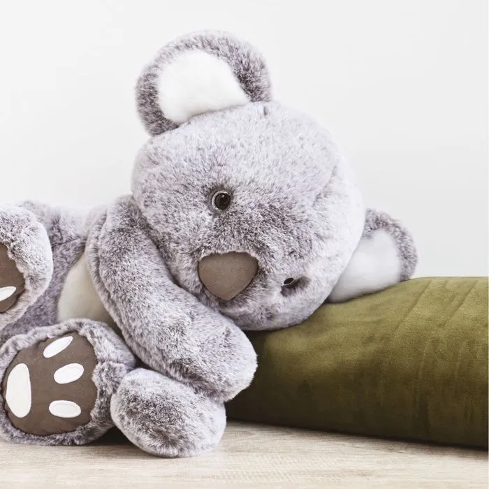 Histoire d'Ours - Peluche Koala 35 cm - DOUDOU ET COMPAGNIE-2