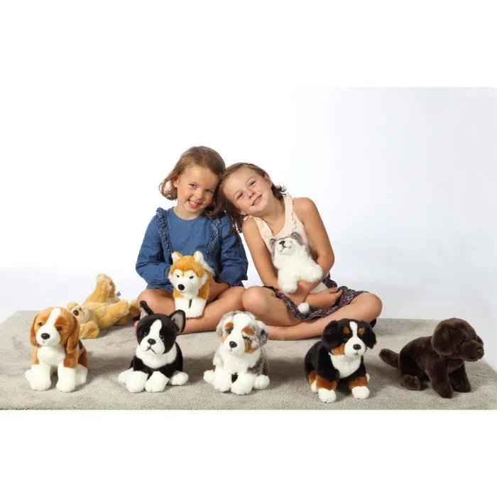 Gipsy Toys - Chien Berger Australien Assis - 25 cm - Blanc - Marron - Gris - Noir-3