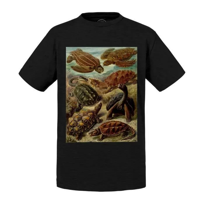 T-shirt Enfant Noir Planche de Tortue Gravure Ancienne Dessin Biologie-0